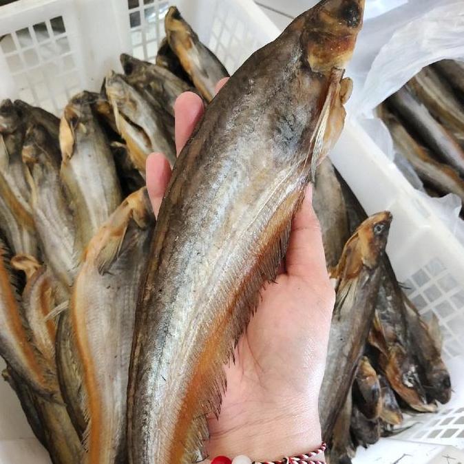 Ikan Asin Lais 1/2 KG , Kering Food KUN