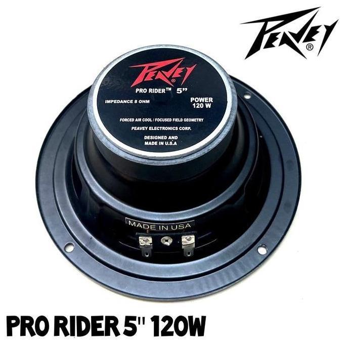 DV216 - Speaker 5 inch peavey Pro rider 120watt Full range Componen Audio