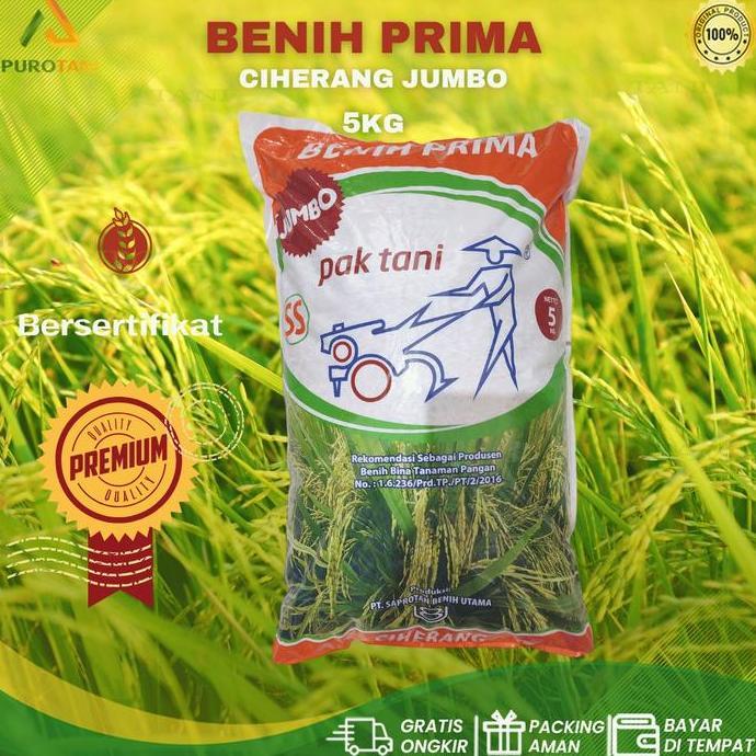 Terlaris Benih Padi Ciherang Jumbo Pak Tani 5Kg Benih Prima Paktani Ss
