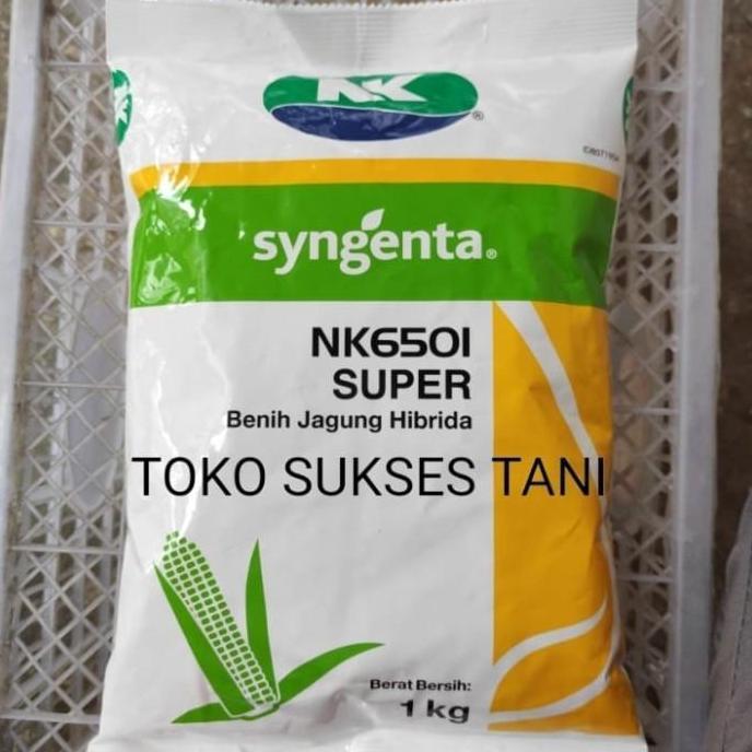 Terlaris Benih Jagung Hibrida Nk6501 Super Isi 1Kg Dari Syngenta
