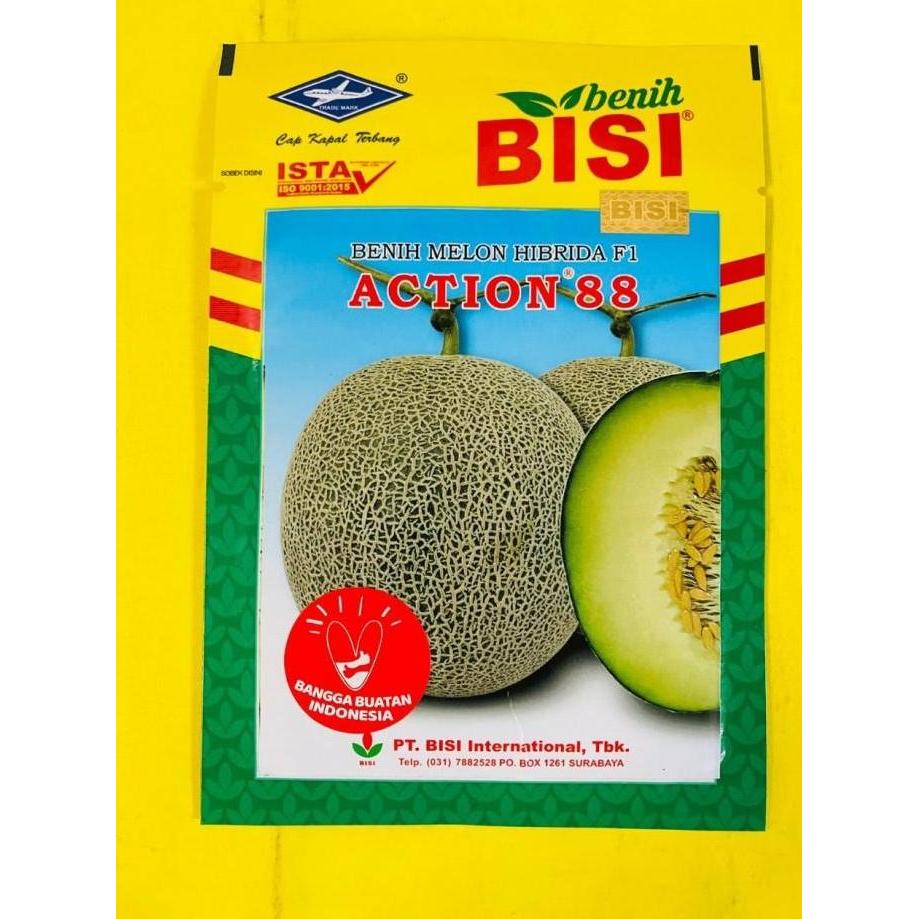 Terlaris Benih Melon Hibrida F1 Action 88 Dari Bisi