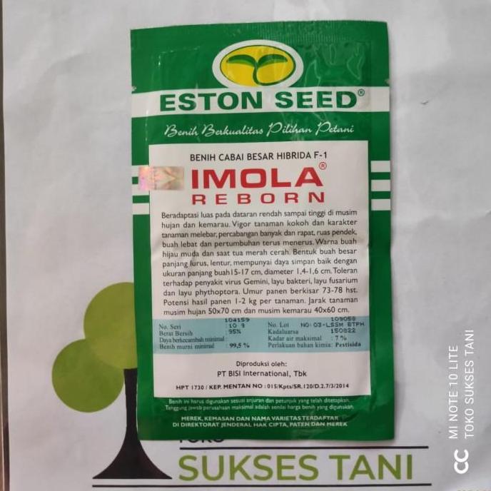 Terlaris Benih Cabai Besar Hibrida F1 Imola Reborn Isi 10 Gram Dari Eston Seed