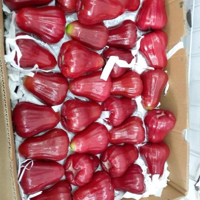 Jambu air | jambu air merah | jambu air super | jambu air premium -1kg boleh COD