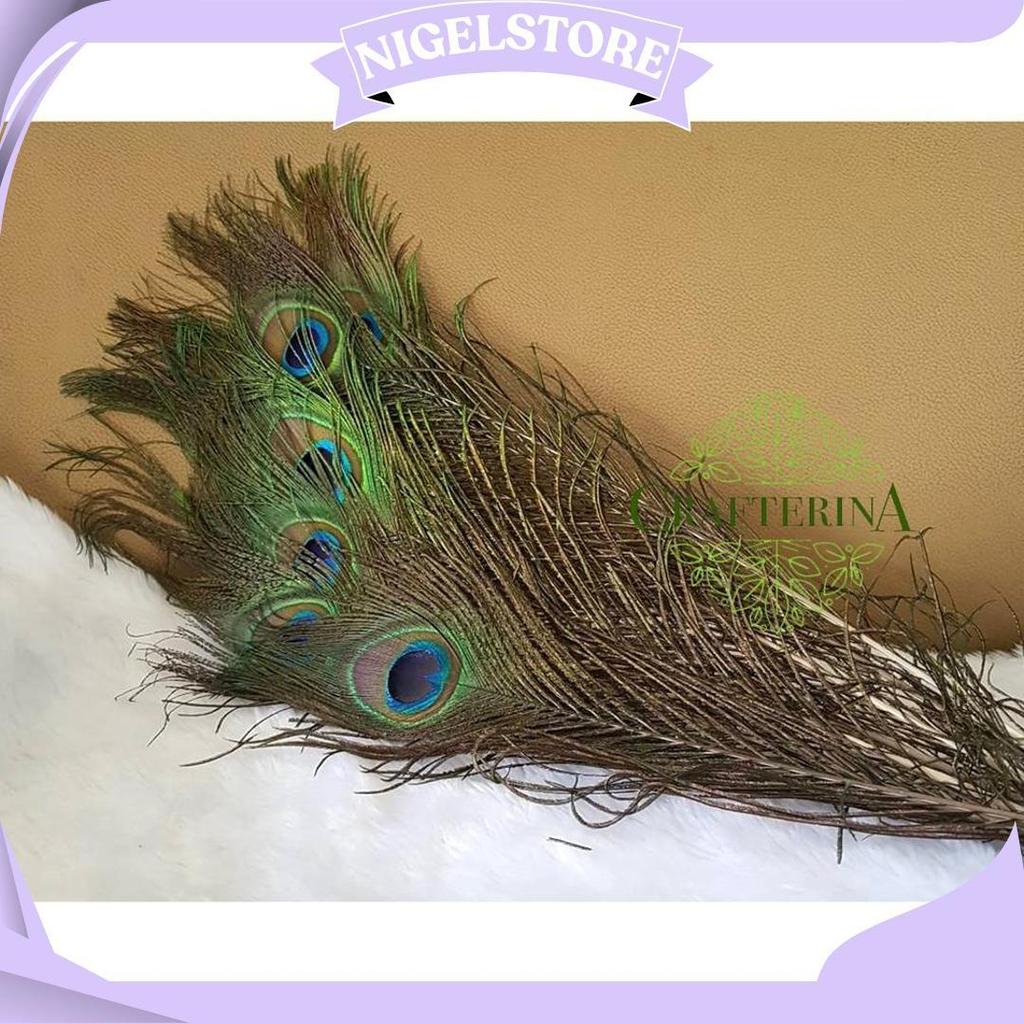 Replika Bulu Merak Sintetis Halus Imitasi / Kerajinan Replika Bulu Hewan Burung Merak C Promo