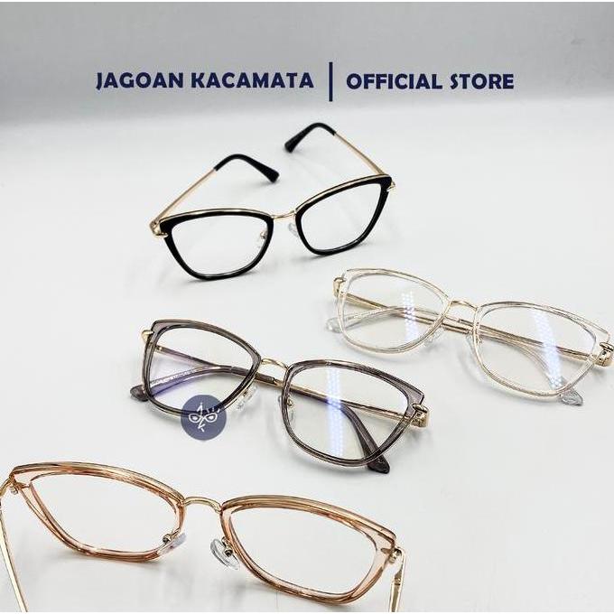 Jagoan Kacamata - Erlin Frame