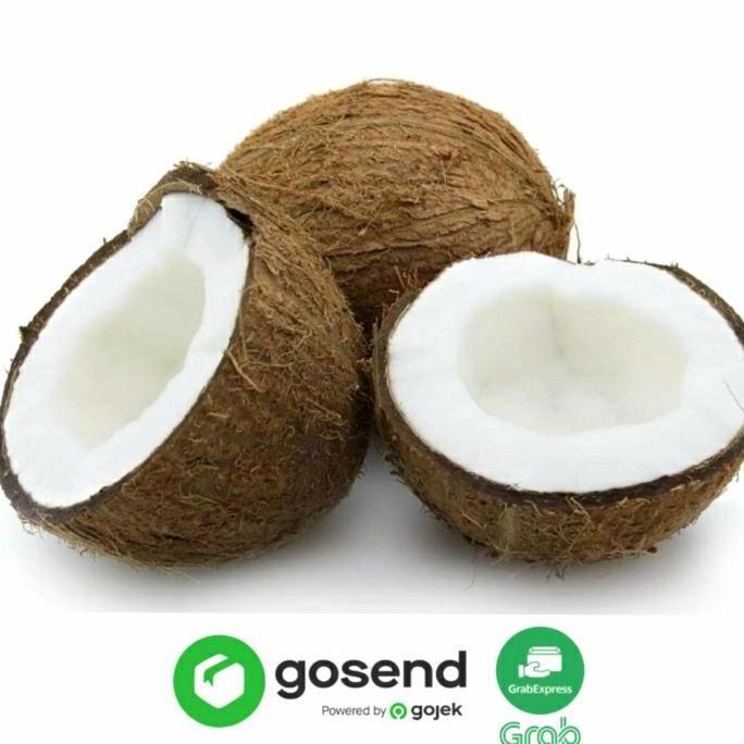 KELAPA PARUT TUA/MUDA SEGAR (1 BUTIR) - SANTAN/PEPES/RAGAM OLAHAN KUE