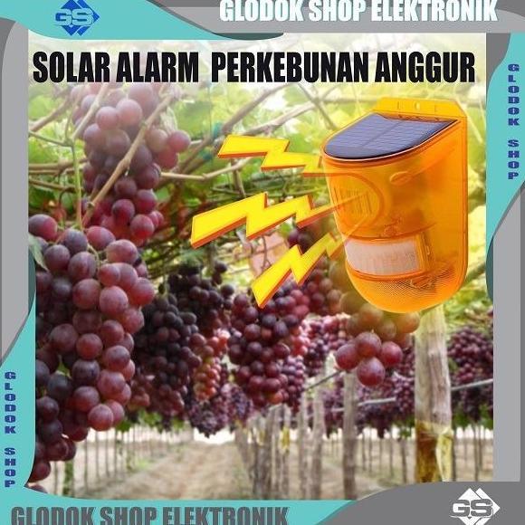 Alarm Rumah / Alarm Solar Kebun / Alarm Gudang / Alarm Kantor / Alarm
