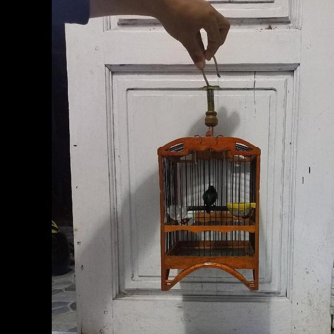 Kandang Burung Ukir Kayu Model Cungko Kotak 1620 - Brand Name sangkar harian