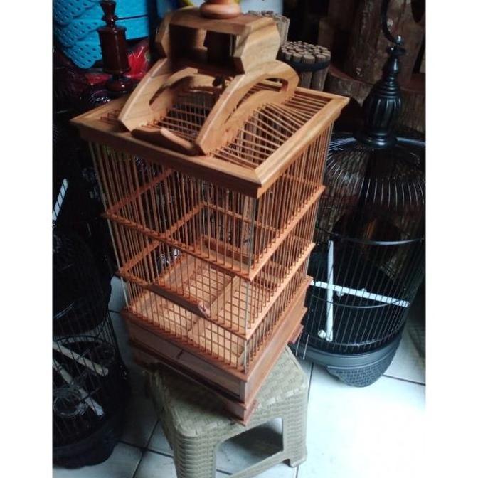 SANGKAR PLECI PCMI PERNIS