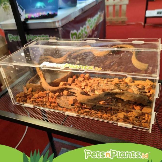 TERBARU - Acrylic Reptile Cage Box Kotak Reptil Vivarium Terarium Akrilik Import
