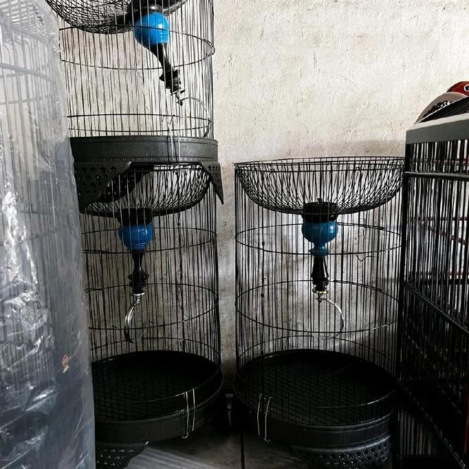 Sangkar lovebird boom