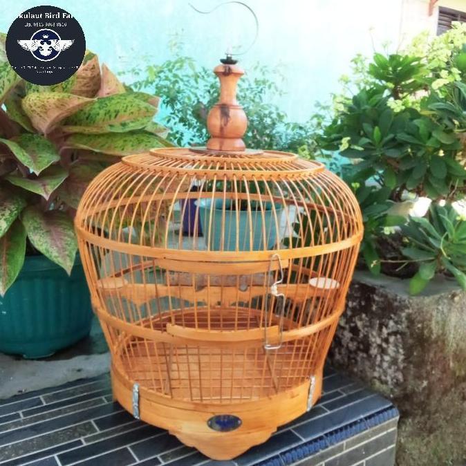 Sangkar Burung Puter & Tekukur Full Bambu dengan Tebok yang Bisa Dilepas