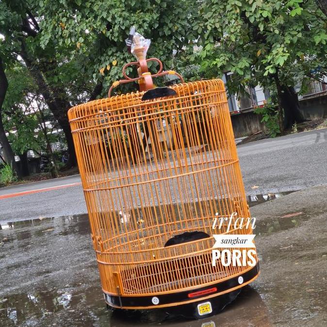 SANGKAR MURAI NEW ORIQ JAYA NO1