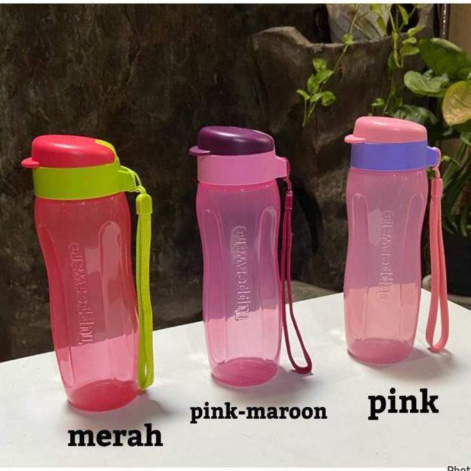 Botol Minum 500 ml Tupperware Eco Fancy Bottle Wadah