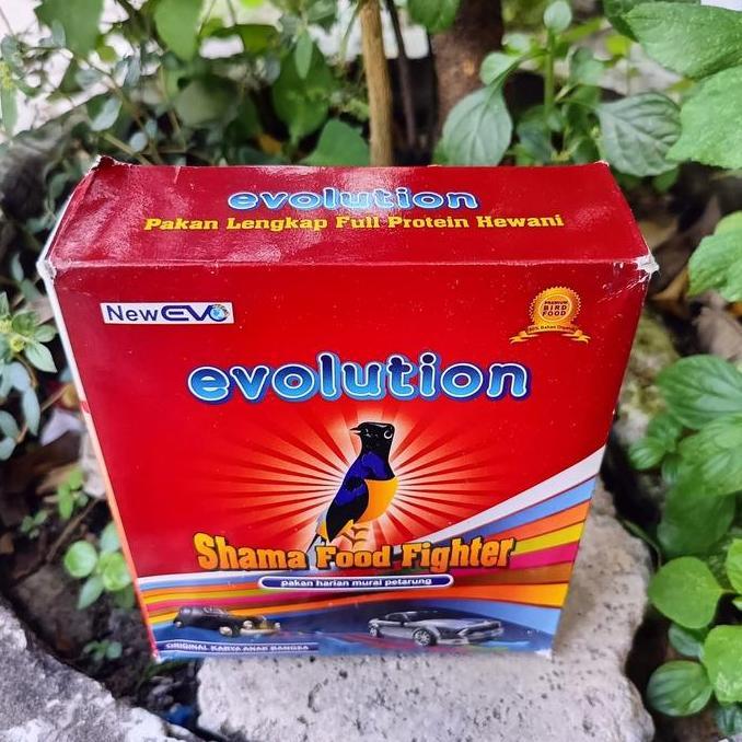 TERBARU - PAKAN MURAI BATU VOER EVOLUTION VOER EVO SHAMA FOOD FIGHTER 500GRAM PAKAN MURAI BATU DAN K