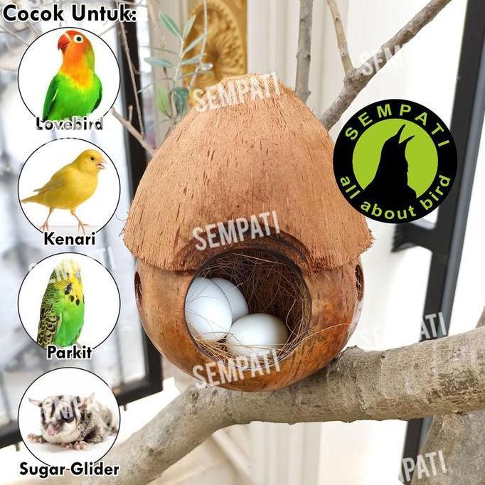 SEMPATI Glodok Bajing Jambul Sarang Burung Lovebird Kenari Parkit Sarang Tempat Tidur Sugar Glider D