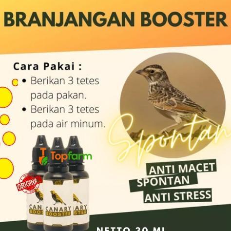 Vitamin Burung Branjangan 30Ml  Vitamin Semua Burung Doping Burung Branjanganobat Burung Branjangan 