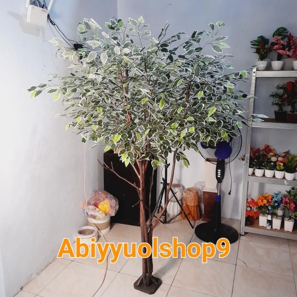 NEW ARRIVAL Tanaman Hias Artificial Beringin Varigata BERCABANG TANPA POT | Pohon Hias Artificial Ri
