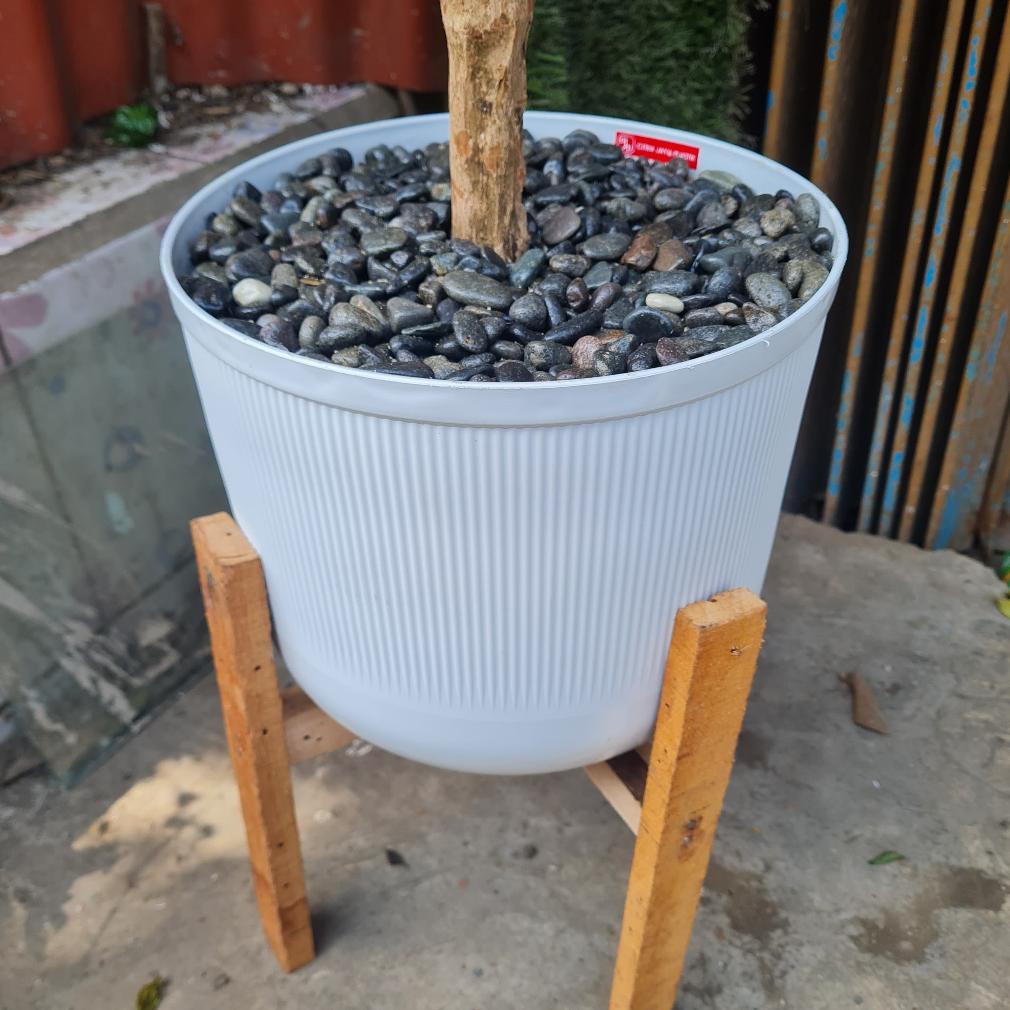 Tanaman Hias Artificial Besar Pohon Zaitun Plastik