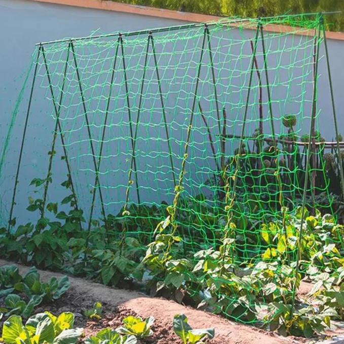 Ajir Tanaman / Plant Stake - TAKIRON - 11 mm x 210 cm