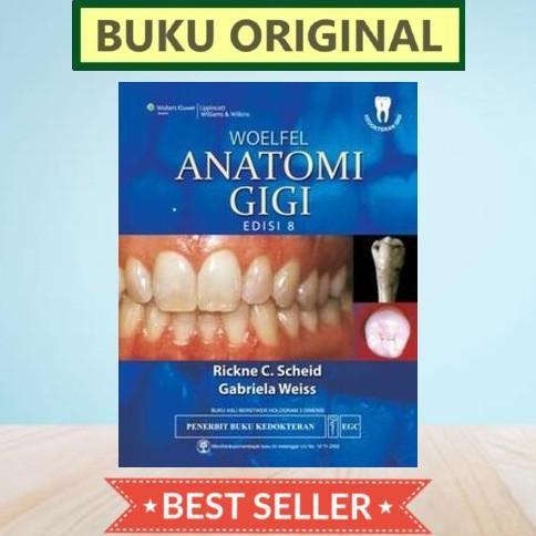 [ORIGINAL] Anatomi Gigi 8e - Woelfel