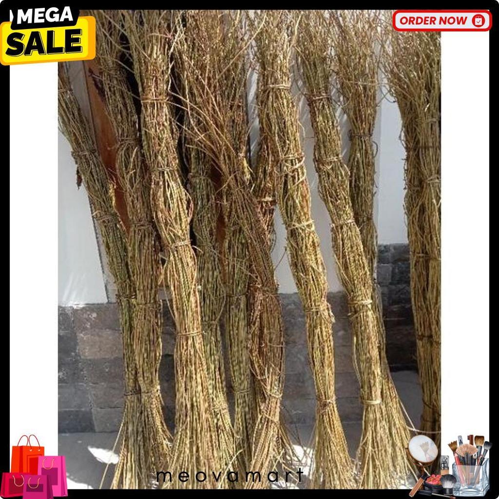 Cusss Serbu 100Btg/1 Ikat Akar Manon,Akar Mentau,Akar Rustik,Ring Akar