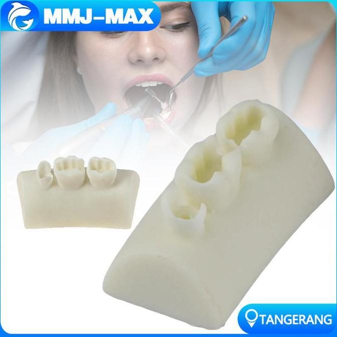 YOUEI Model Latihan Tambal Gigi/Model Tambalan Gigi/Dental Practice Model