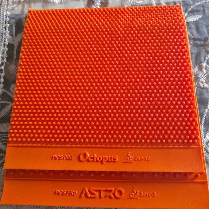 karet bintik panjang super lentur astro dan octopus CO