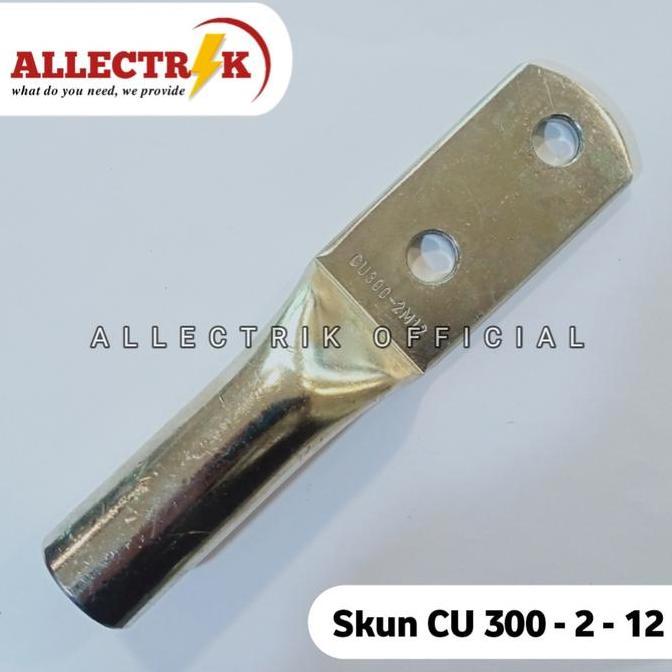 Promo Skun Cu Tembaga 300 mm Hole 2 / Skun Cu 300 2 Lubang Diskon