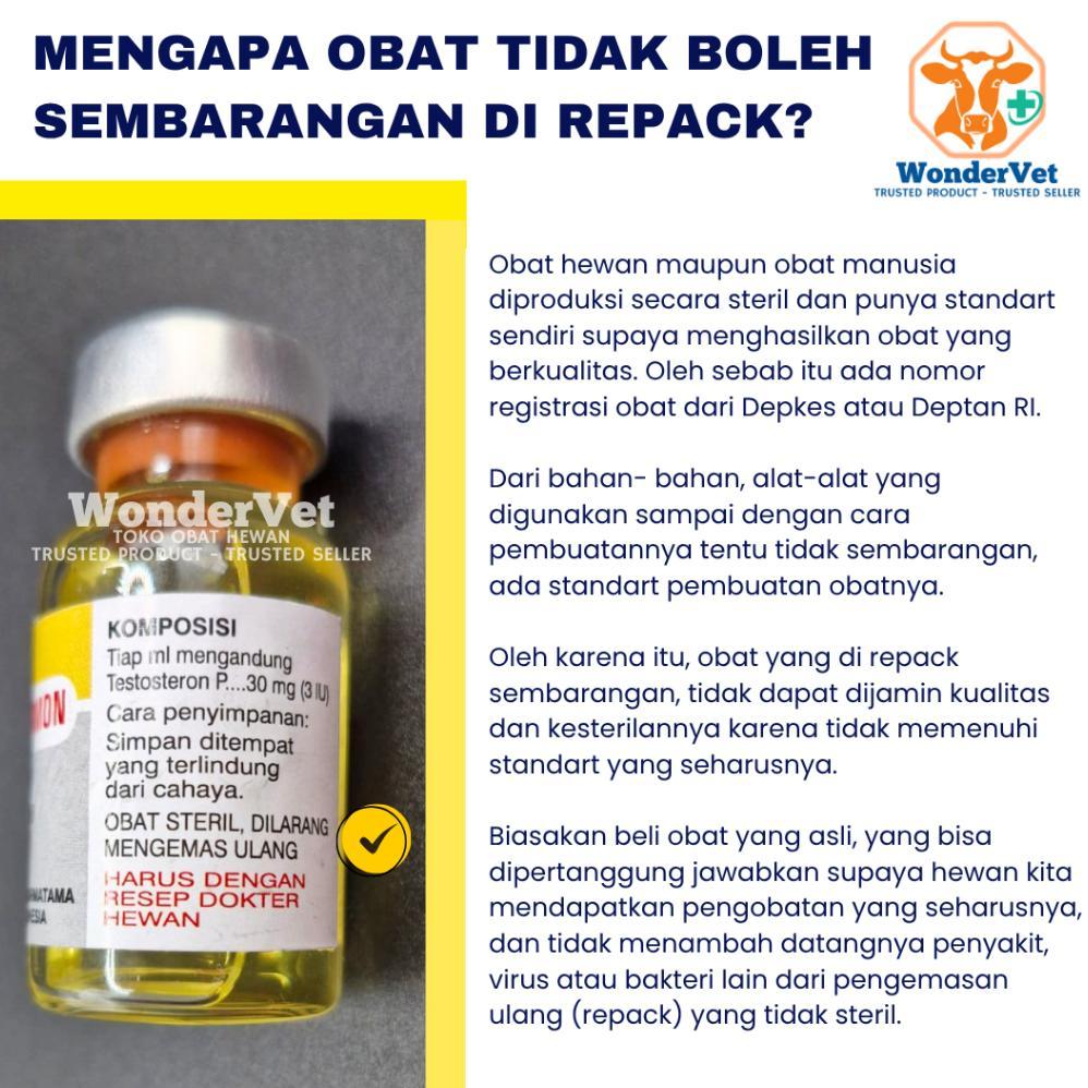 Vitamin B12 Injeksi/Suntik Hewan Anemia Kurang Darah Nambah Napsu Makan