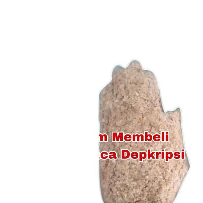 Ready stock Per 5 Kg Bran Pollard Gandum Cap Kepala Kuda Kaya Protein 13% & Phosphor 1.2% Untuk Tern