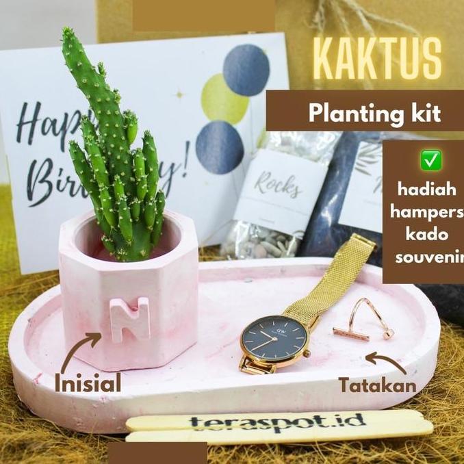 Kaktus Sukulen Planting Kit + Tatakan - HADIAH HAMPERS GIFT SOUVENIR