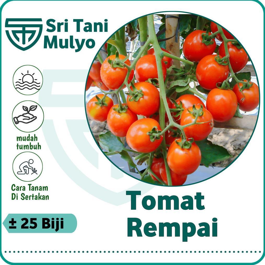 Promo Cod 25 Biji - Benih Tomat Mini Ceri Rempai Buah Lebat Sebesar Kelereng - Bibit Tomat Cherry Bi