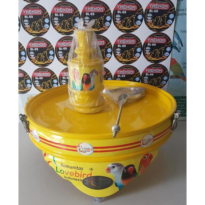 ASLI TEBOK LOVEBIRD KLI KUNING GAMBAR LOVEBIRD