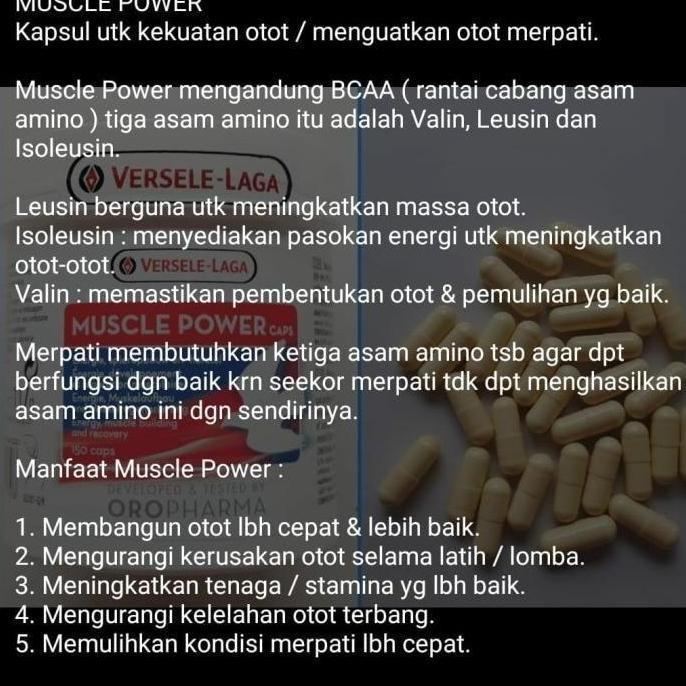 VERSELE LAGA MUSCLE POWER CAPSUL UTK MERPATI BALAP VITAMIN OTOT BURUNG