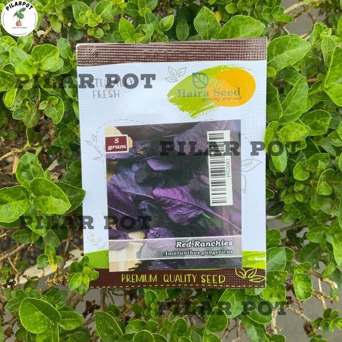 Benih Bibit Bayam Merah Red Ranchies Haira Seed - BAYAM RED RANCHIES