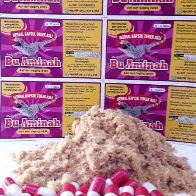 GS Kapsul Tokek ASLI "BU AMINAH" Mengobati Penyakit Dalam BEST SELLERSS
