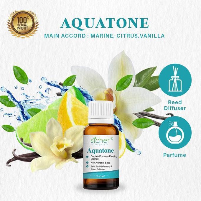 Sicher Fixative Aquatone (Pengikat/Penguat/Super Fixative) [terbaik]