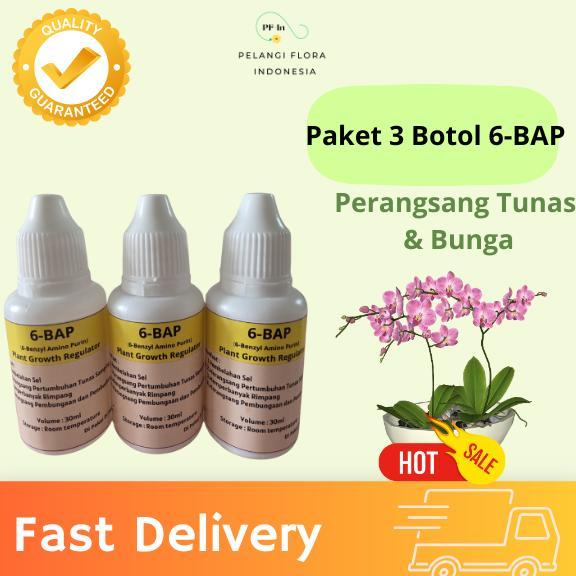 Promo Cod Paket 3 Botol Bap | Hormon Pembungaan Anggrek 