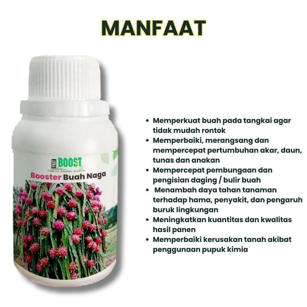 Promo Cod Pupuk Booster Buah Naga Pelebat Organik Cepat Berbuah Lebat 100Ml Murni Fermentasi Organik