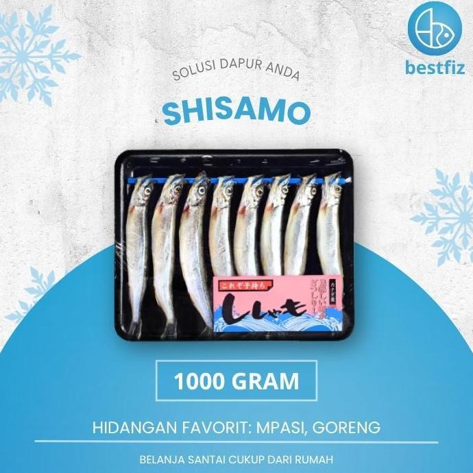 Terlaris Shisamo / Ikan Shisamo 1 Pack / Ikan Cipung