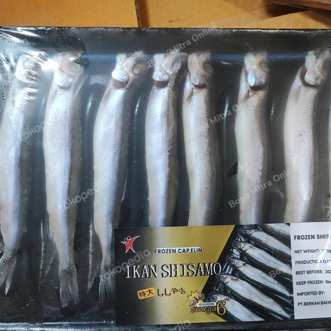 Terlaris Ikan Shisamo Capelin Frozen