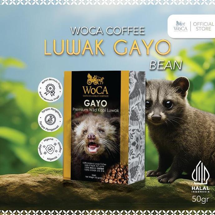 Terlaris Woca Kopi Luwak Gayo 50 Gram Bean