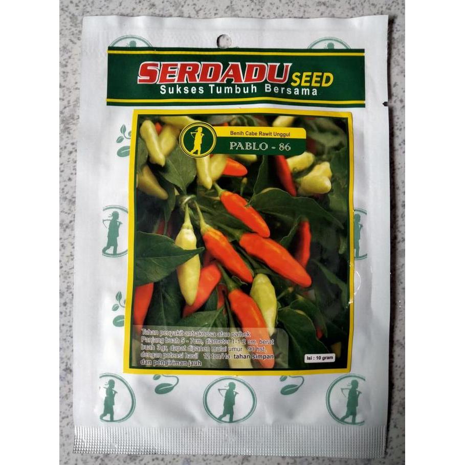 Benih Cabe Rawit PABLO 86 10 Gram - Bibit Cabai PABLO 86 - CR CRM PABLO 86