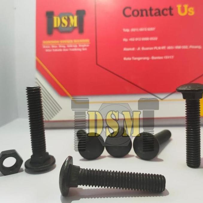 Mur Baut CB M10 / Carriage Bolt 3/8x2" / Baut Payung 5 CM