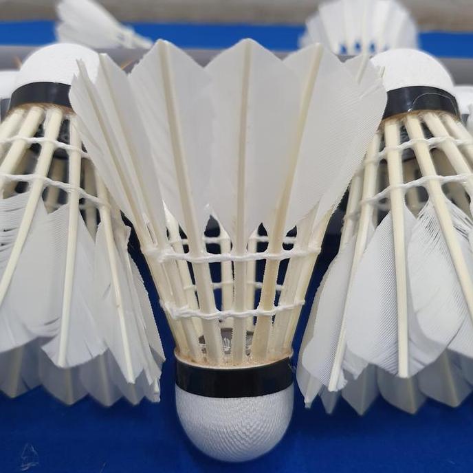 Shuttlecock Badminton Pison