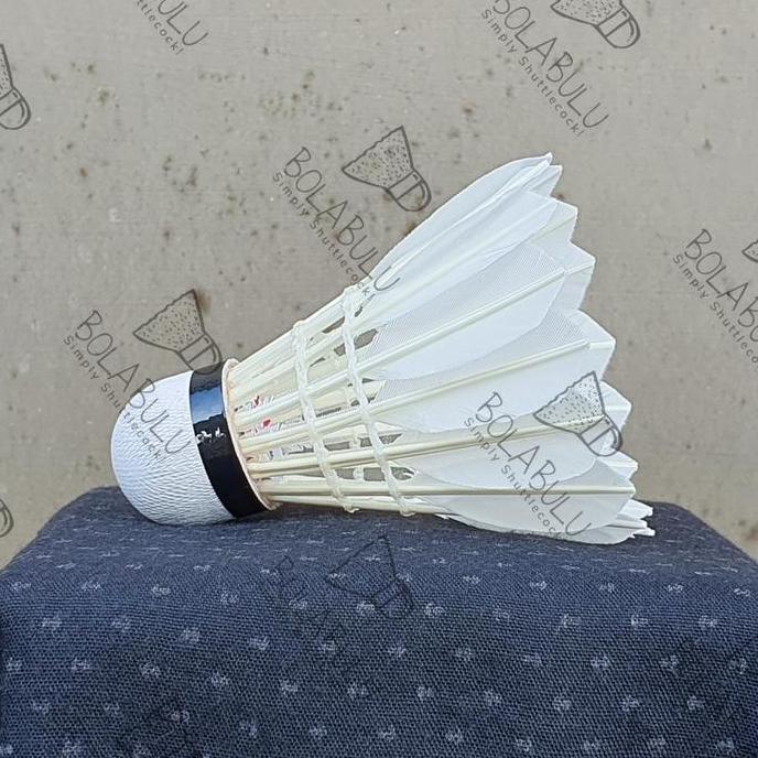 Shuttlecock SAXON PRO