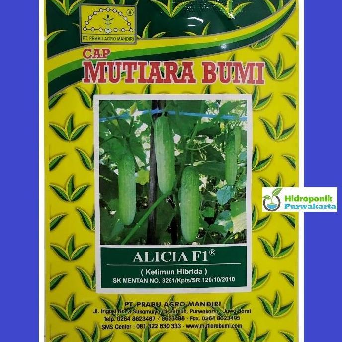 Benih Mentimun Timun Alicia F1 Hibrida Lalap Cap Mutiara Bumi Isi 20 Gram