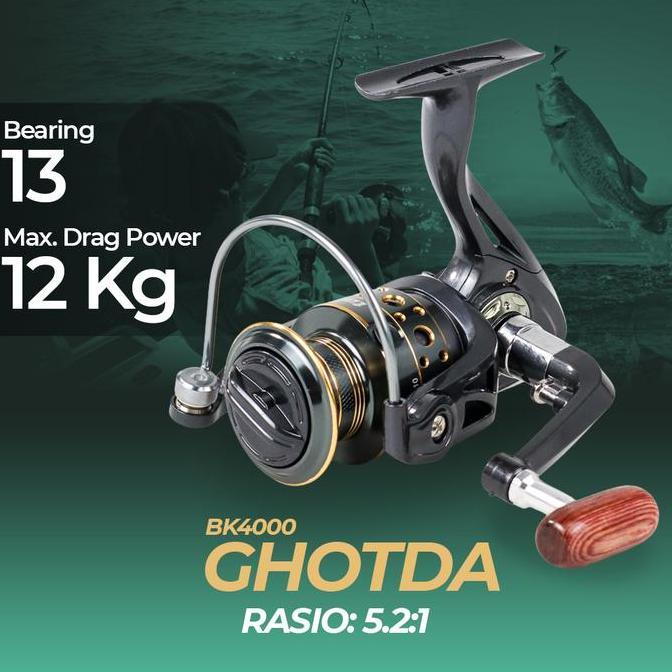 Reel Pancing BK2000 BK4000 Spinning Fishing 5.2:1 Ball Bearing 13