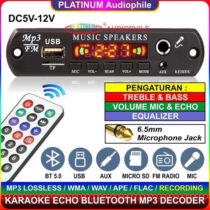 Modul MP3 Decoder Bluetooth 5.1 Karaoke Mic echo Multimedia Speaker 163BT